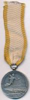 Románia 1913. "Második Balkán-háború Győzelmi Medál" fém kitüntetés másolat mellszalagon, ...
