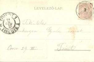 1899 Fiume, Tersatto, Trsat; Frangepán várrom / castle ruins