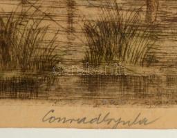 Conrád Gyula (1877-1959): Reggel a Dunán. Színezett rézkarc, papír, jelzett, gyűrött, foltos,  üvege...