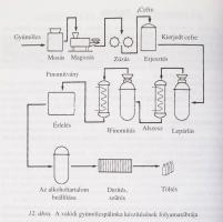 Buzás Gizella - B. Kiss Andrásné - Sahin-Tóth Gyula: Italismeret. A vendéglátó szakképzés számára. P...