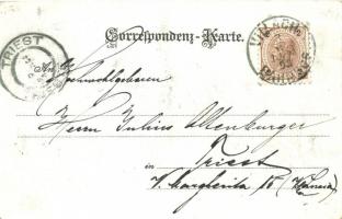 1898 (Vorläufer!) Villach, Warmbad, Gasser Denkmal / spa, statue, floral litho