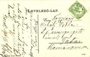 Bozók, Bzovik; vár, látkép. Ruszinák Antal kiadása / castle, panorama view