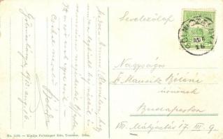 Gölnicbánya, Gelnica; Thurzó-vár romjai, Thurzófüredre vezető út; Feitzinger Ede No. 1109. / castle ...