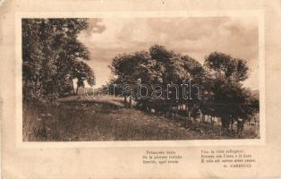 Landscape, art postcard, G. Carducci poem, VAT 21895 &#039;K.u.K. Marinefeldpostamt Pola&#039; (kis szakadás / small tear)