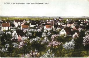 Guben, panorama from Engelmanns mountain, WWII Germany Flugzeugführerschule stamp, feldpost (EK)