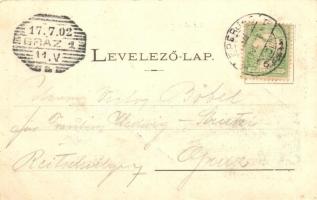 Nagysáros, Velky Saris; Sárosi vár romjai. Divald / castle ruins