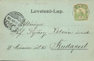 Vág-Podhragy, Vágváralja; vár. Platzko Gyula 43372. / castle