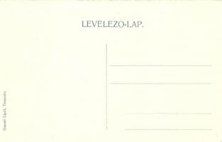 Trencsén, Trencin; vár. Gansel Lipót / castle