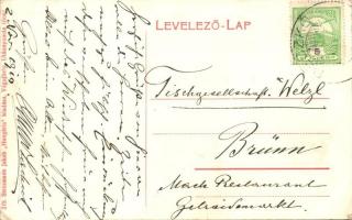 Csejte, Cachtice; várrom, Beckói  és Temetvény vár, Báthory Erzsébet és Stibor- Steinmann Jakab Hung...