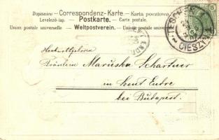 Cesky Tesin, Teschen; Ostschlesierin - Slazacka / Czech folklore, Ed. Feitzinger's Verlag 520. ...