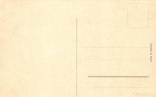 Budapest V. Szervita tér a volt Török bankházzal, Kertész Tódor, Gartner, Rolyal és Társa üzlete, Am...