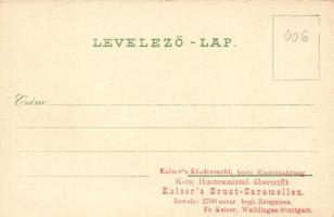 Miskolc, Igazságügyi palota, floral. hátoldalon Kaiser Brust Caramellen reklám