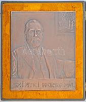 Dr. Hőgyes Ferenc (1860-1923) 1914. Szinyei Merse Pál kétoldalas bronz plakett, eredeti dísztokban (642g/167x198mm) T:1,1- / Hungary 1914. Pál Szinyei Merse double-sided bronze plaque, in original case. Sign.: Ferenc Hőgyes Dr (642g/167x198mm) C:UNC,AU HP 2869.