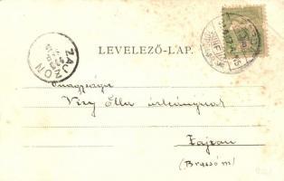 Torda, Turda; Vigadó. Füssy & Sztupjár / Redoute (felületi sérülés / surface damage)