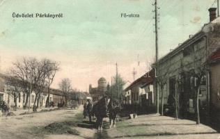 Párkány, Stúrovó; Fő utca üzlettel. Pauncz Mór kiadása / main street with shop (EK)