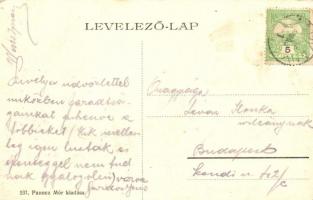 Párkány, Stúrovó; Fő utca üzlettel. Pauncz Mór kiadása / main street with shop (EK)