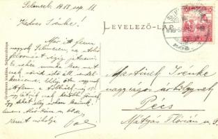 Selmecbánya, Banska Stiavnica, Schemnitz; Kossuth téri részlet, Singer Miksa üzlete / square, shops ...