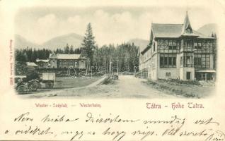 1898 Tátraszéplak, Tatranska Polianka; Westerheim, utcakép nyaralókkal / street view with villas