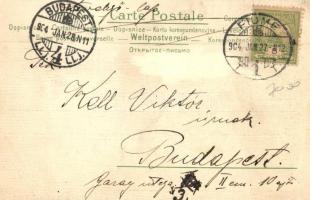 Lady, Art Nouveau art postcards s: Raphael Kirchner