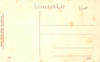 Nagyszentmiklós, Sannicolau Mare; Gróf Nákó Sándor kastélya. Wiener Náthán kiadása 1085. / castle  (...