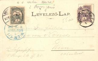 Borossebes, Sebis; Hősök emléke, Piac tér templommal és Steiner Samu üzletével. Honisch fényképész f...