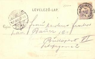 Nagyszalonta, Salonta; Toldy tér, piac. Reich Jakab kiadása / market square