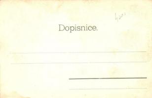 Radna, Radnic; Ulice k mostu. Nakladem J. Housky / street to the bridge, J. L. Popper's shop (f...