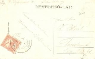 Felcsút, Községháza és Dr. Kardos körorvos háza