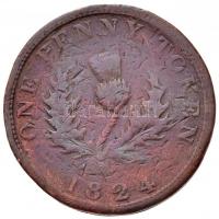 Kanada / Nova Scotia 1824. 1p Cu "IV. György" (16,77g) T:3 ü., karc / 
Canada / Nova Scot...