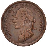 Nagy-Britannia / Írország 1816. 1p Cu Wellington & Erin Go Bragh / Edward Stephens 1816 (16,14g) T:2-,3 ü., ph. /  Great Britain / Ireland 1816. 1 Penny Cu Wellington & Erin Go Bragh / Edward Stephens 1816 (16,14g) C:VF,F ding, edge error Krause KM#TTN3