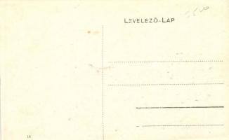 Zálnok-gyógyfürdő, Zalnoc; Villa / villa