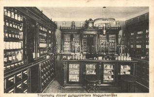 Magyarkanizsa, Stara Kanjiza; Tripolszky József gyógyszertára, belső / pharmacy interior