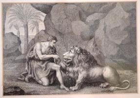 cca 1900 Szent Jeromos az oroszlánnal, rézmetszet, paszpartuban, üvegezett keretben, 10×15 cm