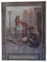 Shakespeare album. Shakespeare élete és költészete, írók tanulmányaiban, képzőművészek festményeiben...