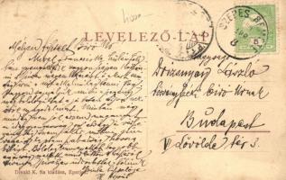 Szepesremete, Mnísek nad Hnilcom; Gölnic parti részlet ökörszekérrel. Divald K. fia / river bank wit...