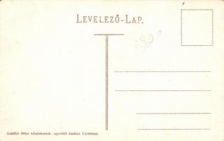 Újvidék, Novi Sad; Andrássy utca. Schäffer Péter kiadása / street view