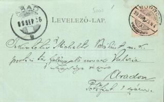 1899 Balf-fürdő, Bad Wolfs; szálloda és gyógyszertár, Blum N. floral Art Nouveau képeslapja