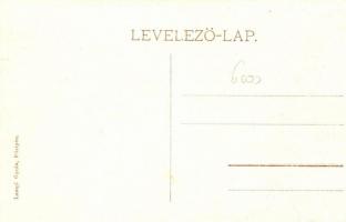 Pöstyén, Piestany; Dr. Weisz Ede fürdőorvos. Lampl Gyula kiadása / Badearzt Dr. Eduard Weisz