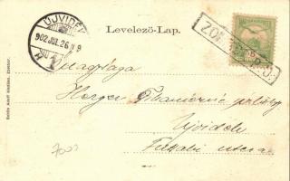 Zombor, Sombor; megyeháza az Erzsébet ligettel. Schön Adolf címeres litholapja / county hall with pa...