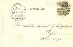 Dunaföldvár, Duna hegyláncolata "Dél" vontatóhajóval. Kiadja Somló Manó