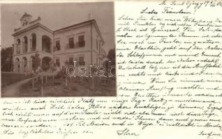 1900 Marosszentgyörgy, Sangeorgiu de Mures; Máriaffi Lajos kastélya / castle, photo