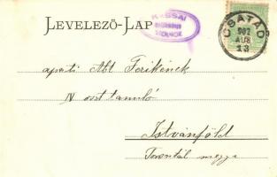 Csatád, Lenauheim; Községház a Lénau téren. Felvette Bierbaum Gyula / town hall in the square