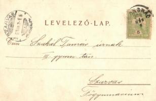 Budapest VI. Rigler József Ede Papírnemű-gyára; Rózsa utca 55. litho