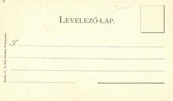 Budapest XIV. Sokszorosító ipar csarnok, Ezredéves Kiállítás. Kanitz C. és Fiai