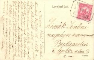 Felnémet, Kilátás a plébánia kertből