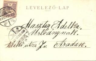 Budapest, lóherés litho művészlap. Brüder Kohn Wien I