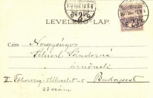 Budapest VII. Baross szobor Keleti pályaudvarral, litho s: Drinman (?)