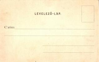 Topánfalva, Campeni; Szálloda, Schlessel és Walter-féle kastély. Csíky Testvérek kiadása / hotel and...