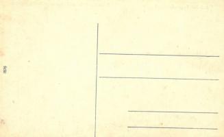 Topánfalva, Campeni; Takarékpénztári Villa Ipartelepe / industrial villa plant of savings bank