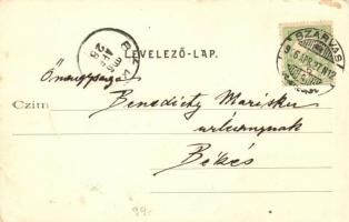 Szarvas, Dr. Lengyel Sándor palotája, Sámuel Adolf könyv és papíráruháza és saját kiadású képeslapja...